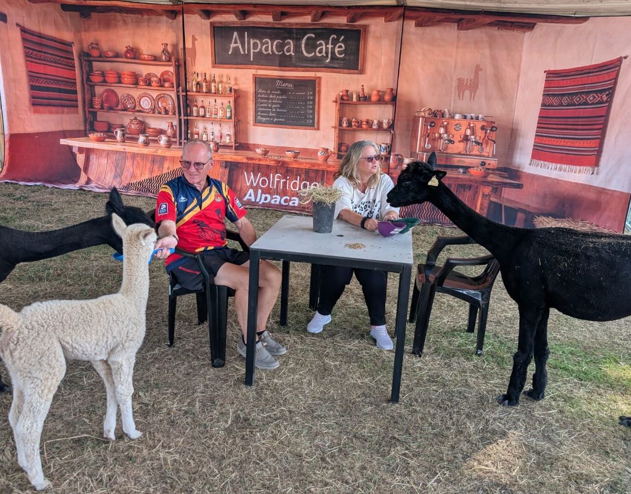 New Experience for Summer 2026- The Alpacas' Cafe!
